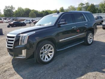  Salvage Cadillac Escalade