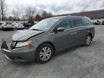  Salvage Honda Odyssey