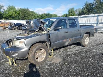  Salvage Dodge Dakota