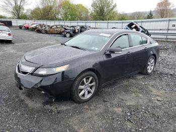  Salvage Acura TL