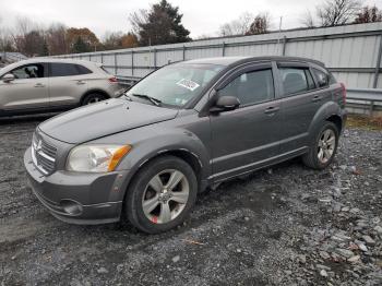  Salvage Dodge Caliber