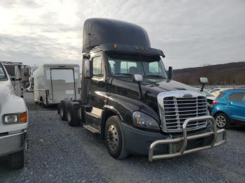  Salvage Freightliner Cascadia 1