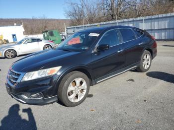  Salvage Honda Crosstour