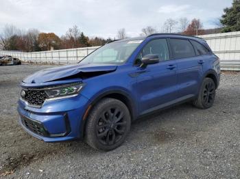  Salvage Kia Sorento