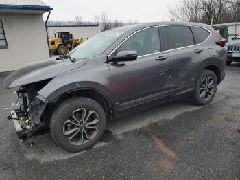  Salvage Honda Crv