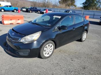  Salvage Kia Rio