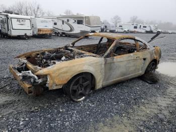  Salvage Ford Mustang