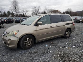  Salvage Honda Odyssey