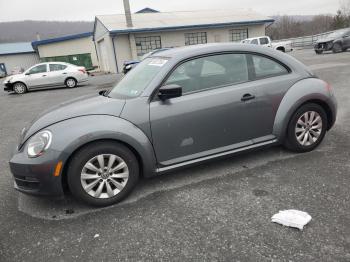  Salvage Volkswagen Beetle