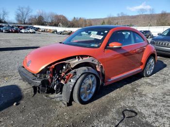  Salvage Volkswagen Beetle