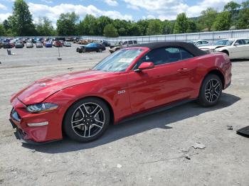  Salvage Ford Mustang