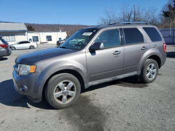  Salvage Ford Escape