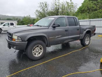  Salvage Dodge Dakota
