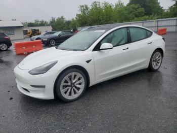  Salvage Tesla Model 3