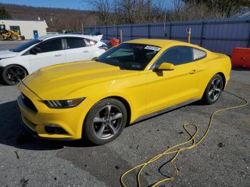  Salvage Ford Mustang