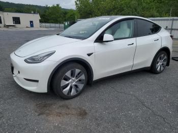  Salvage Tesla Model Y