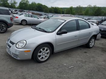  Salvage Dodge Neon