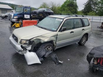  Salvage Subaru Forester