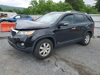  Salvage Kia Sorento