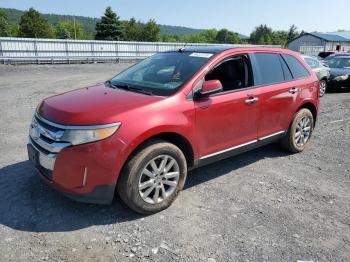  Salvage Ford Edge