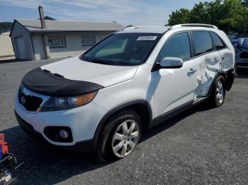  Salvage Kia Sorento