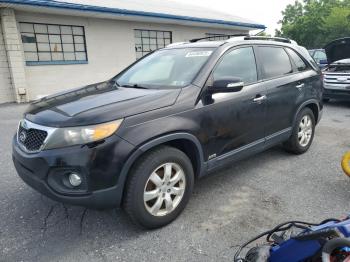  Salvage Kia Sorento