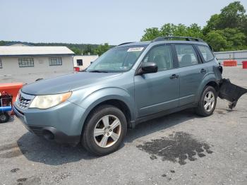  Salvage Subaru Forester