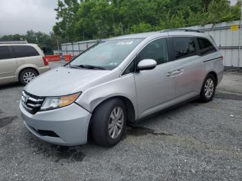  Salvage Honda Odyssey