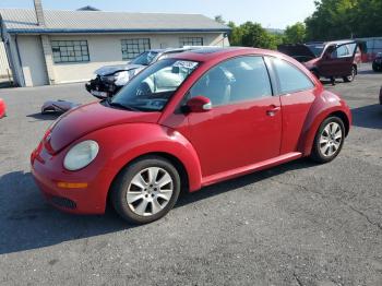  Salvage Volkswagen Beetle