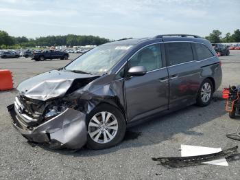  Salvage Honda Odyssey