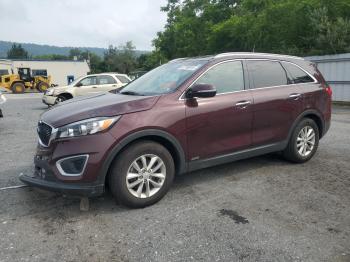  Salvage Kia Sorento