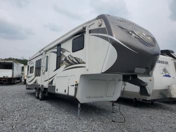  Salvage Moun Trailer