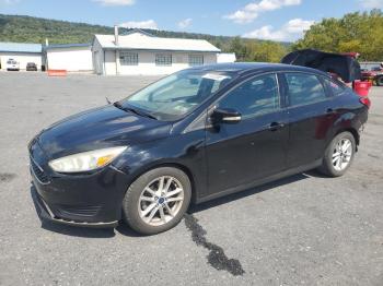  Salvage Ford Focus
