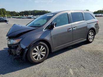  Salvage Honda Odyssey