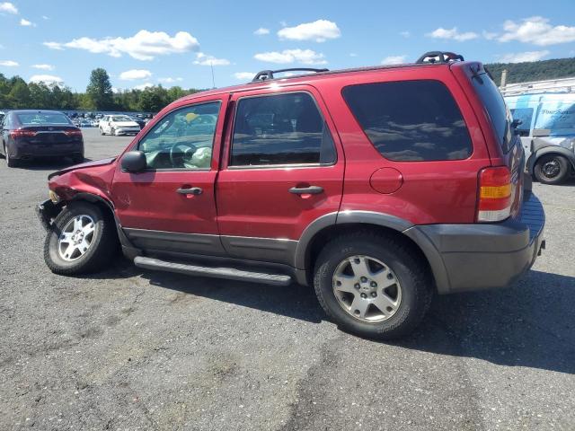 Ford Escape Xlt Image 2