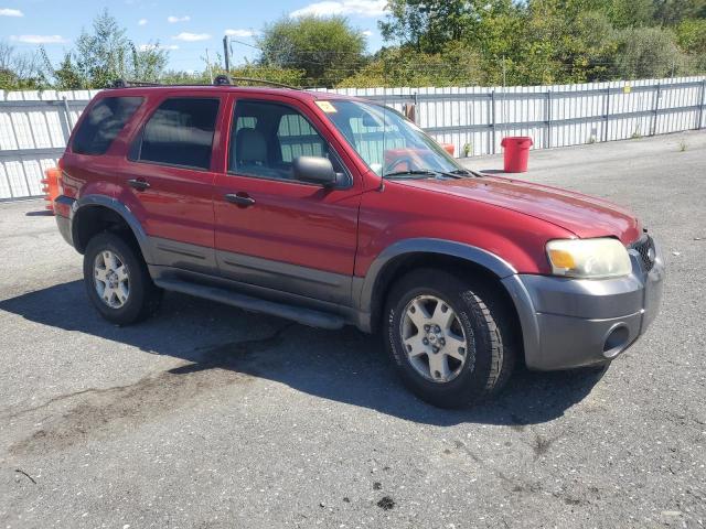 Ford Escape Xlt Image 4