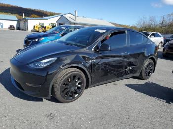  Salvage Tesla Model Y