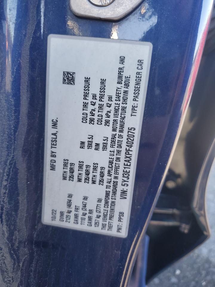 Tesla Model 3 Image 8