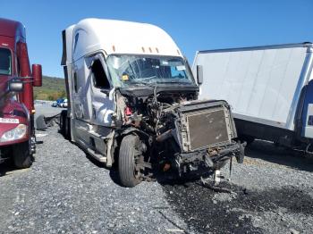  Salvage Freightliner Cascadia 1