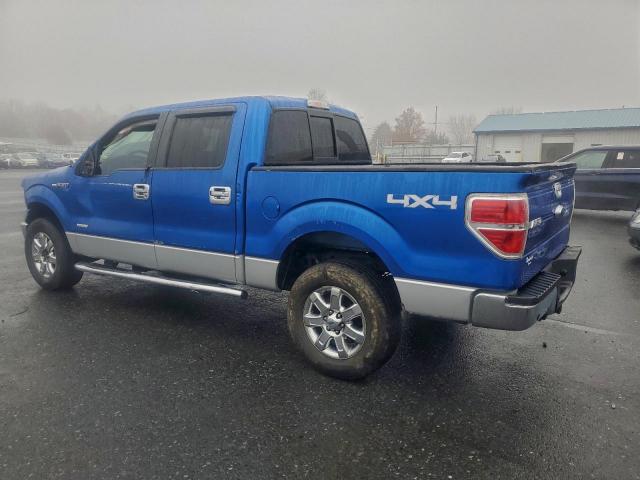 Ford F-150 Supercrew Image 6
