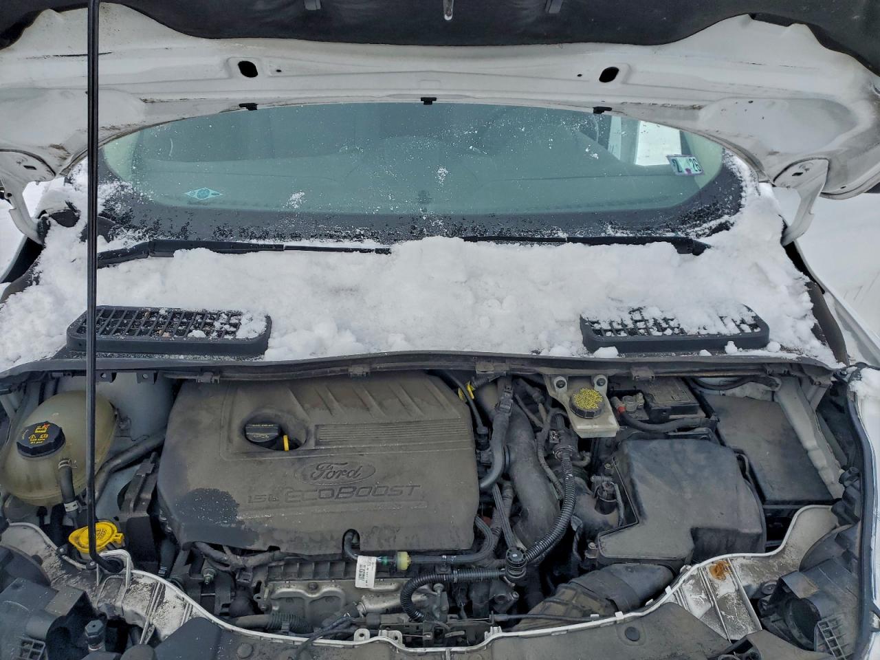 Ford Escape Se Image 11