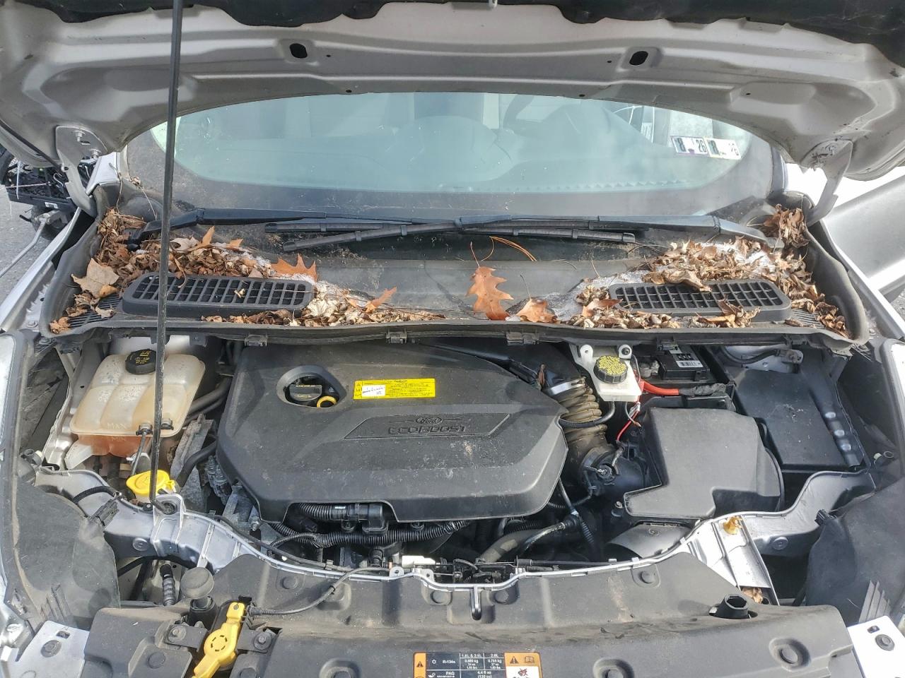 Ford Escape Se Image 10