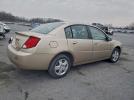 Saturn Ion Level 2 Image 2
