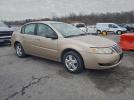 Saturn Ion Level 2 Image 8