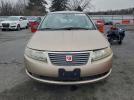 Saturn Ion Level 2 Image 10