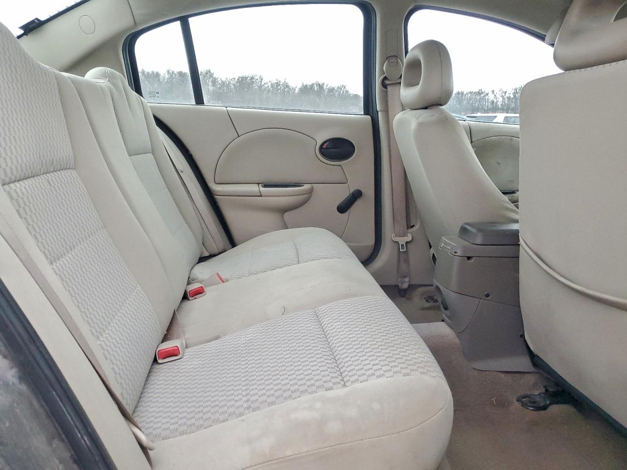 Saturn Ion Level 2 Image 5