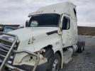 Freightliner Cascadia 1 Image 3