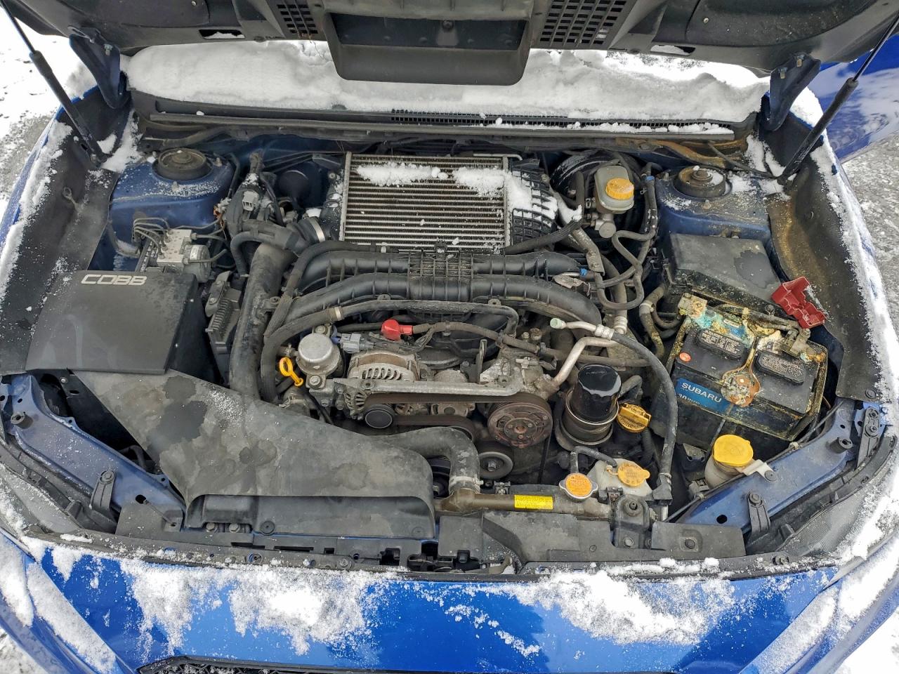 Subaru WRX Premium Image 11