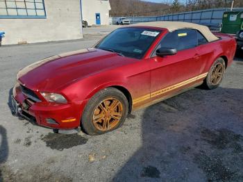  Salvage Ford Mustang