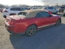 Ford Mustang Image 2
